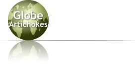 Globe  Artichokes